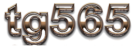 tg565 logo